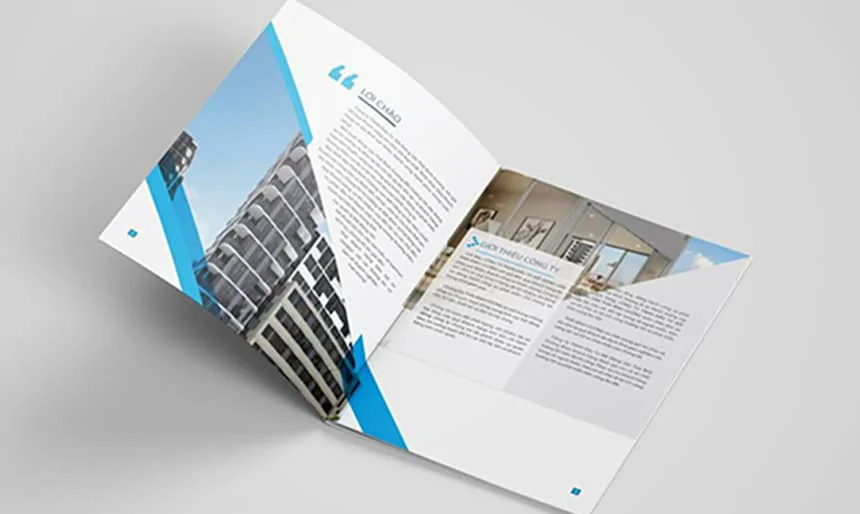 Hướng dẫn thiết kế catalogue chuyên nghiệp bắt mắt Thiết Kế Catalogue Chuyên Nghiệp