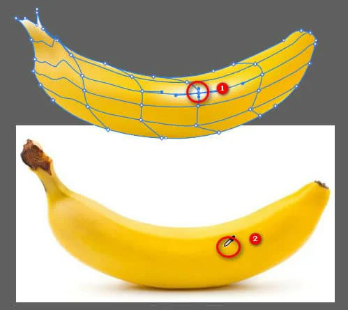 Hướng dẫn sử dụng công cụ Mesh Tool Illustrator Mesh Tool Illustrator