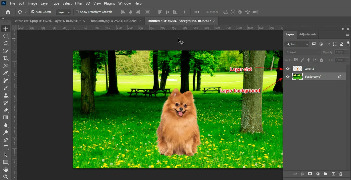 Cách tạo chất liệu ảnh trong photoshop Cách tạo chất liệu ảnh trong photoshop