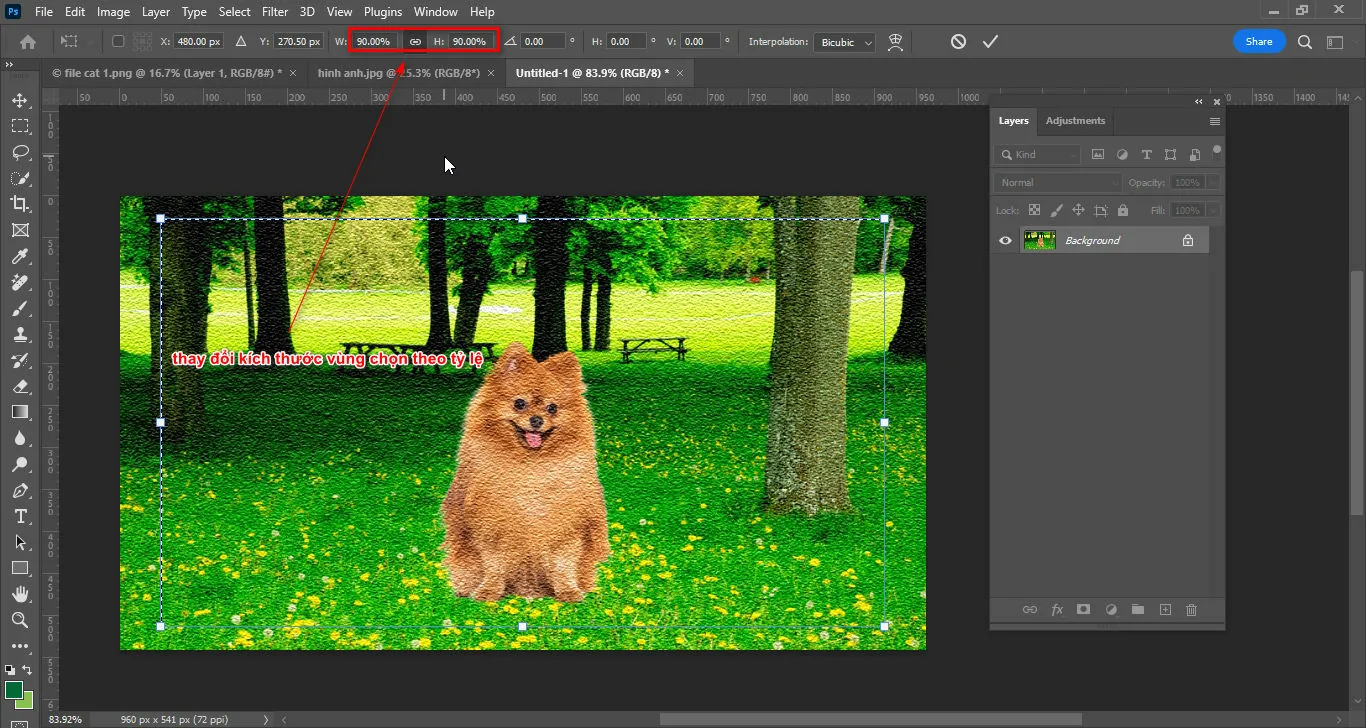 Cách tạo chất liệu ảnh trong photoshop Cách tạo chất liệu ảnh trong photoshop