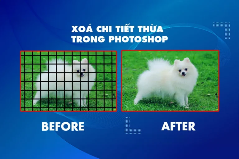 Hướng dẫn sử dụng Pen Tool Photoshop