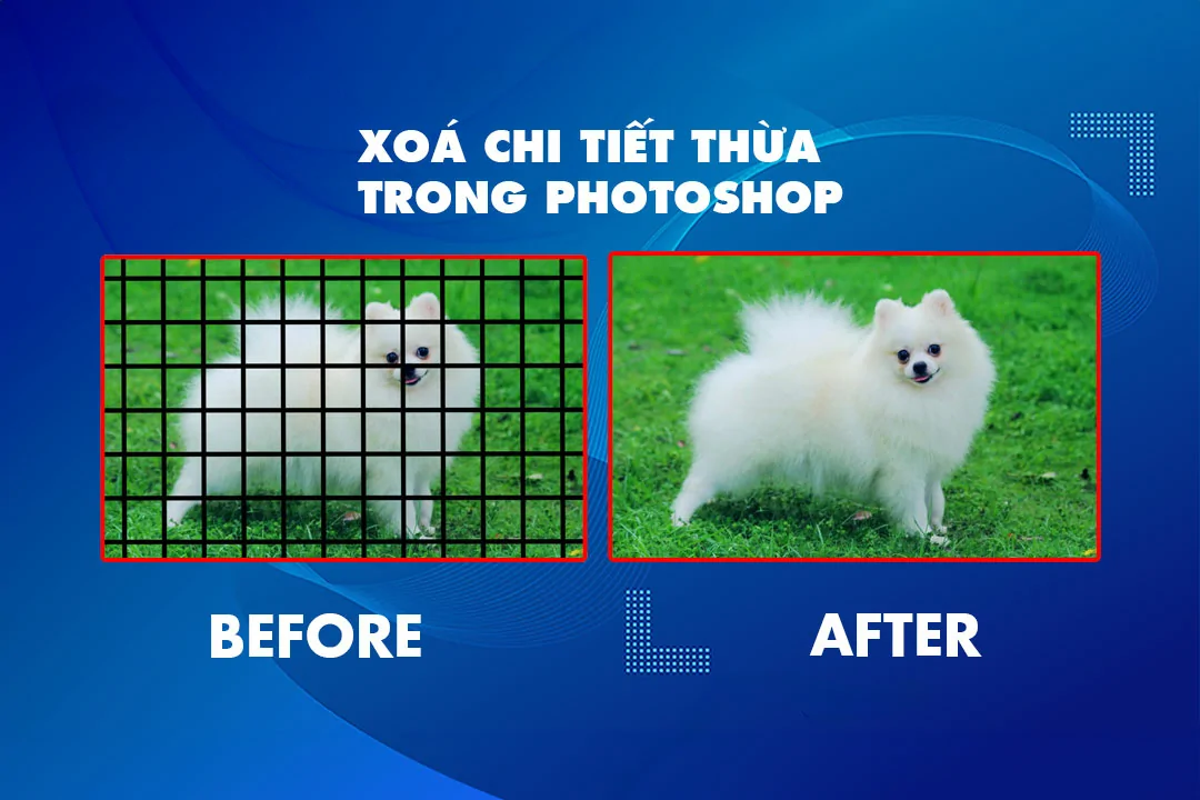 Hướng dẫn sử dụng Pen Tool Photoshop